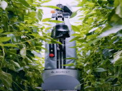 Le robot japonais cueilleur de poivrons