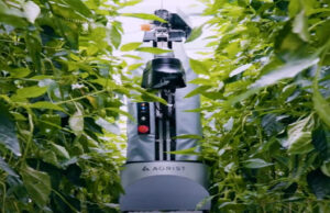 Le robot japonais cueilleur de poivrons